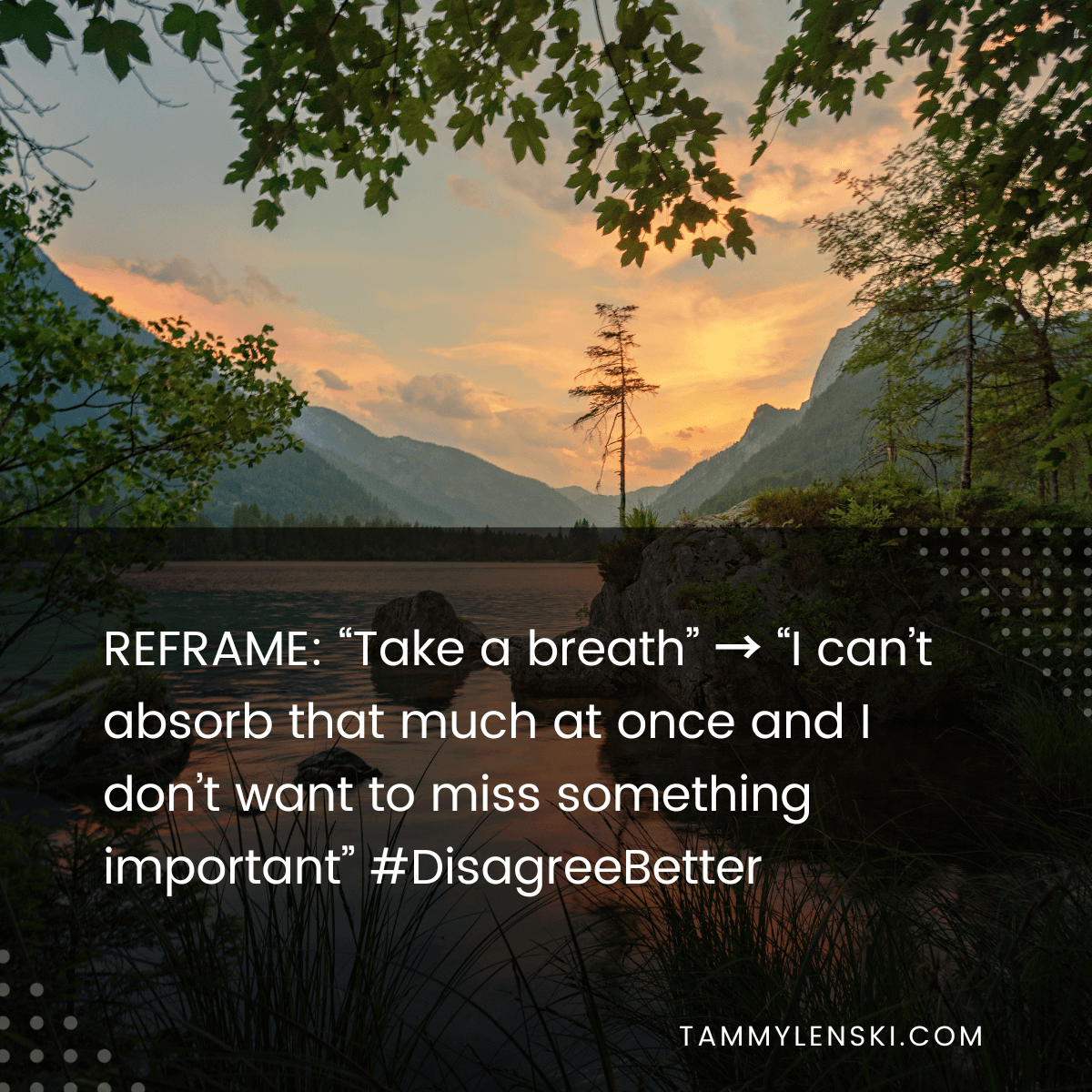 Reframe: "Take a breath" --> "I can't absorb that much information at once and I don't want to miss something important" #DisagreeBetter