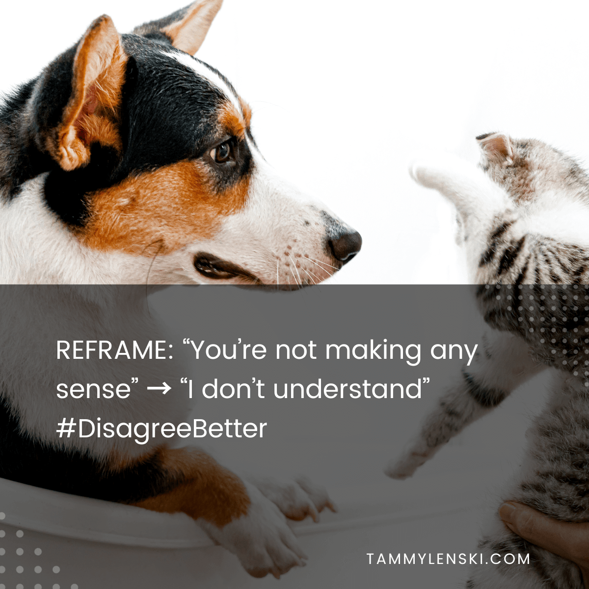 Reframe: "You're not making any sense" --> "I don't understand" #DisagreeBetter