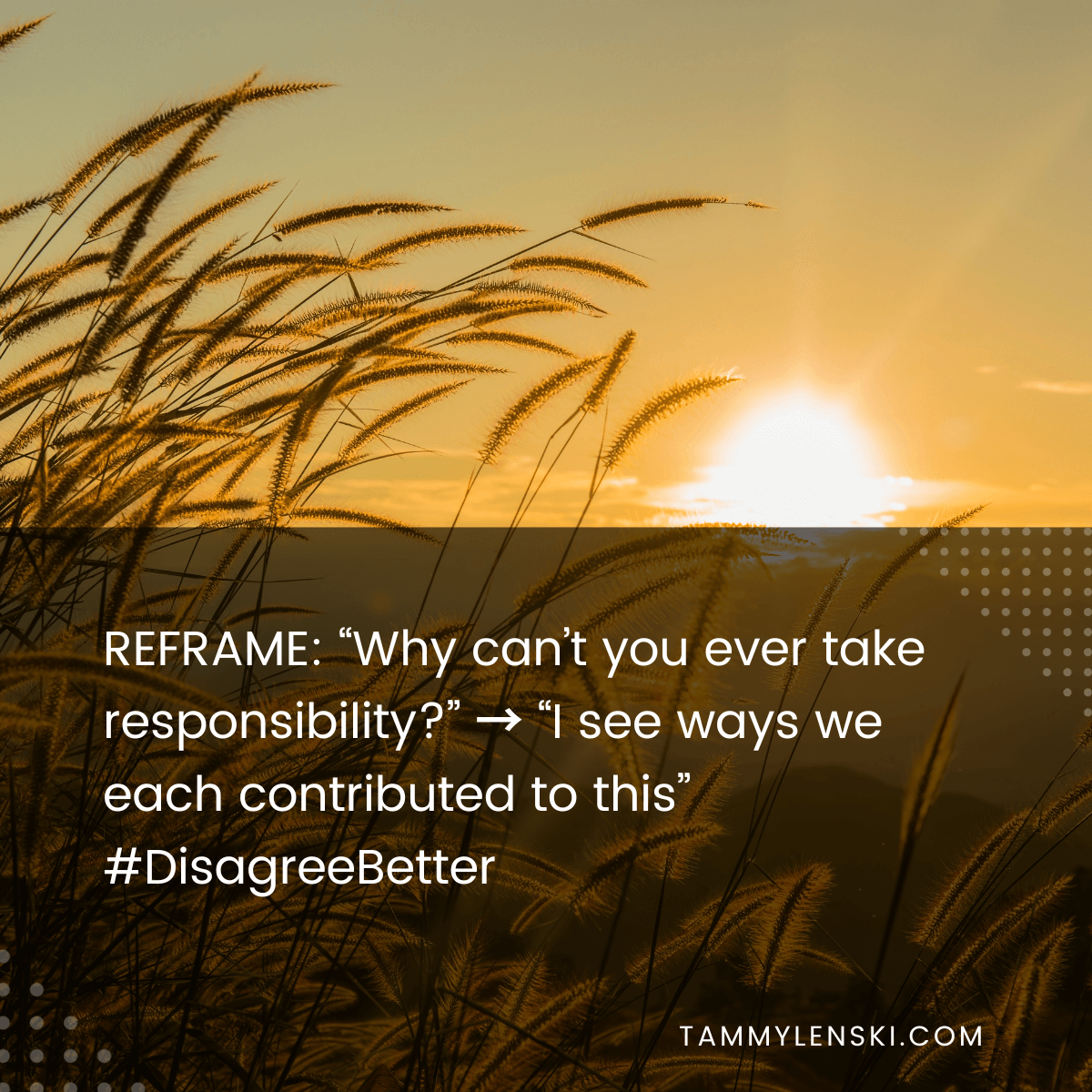 Reframe: "Why can't you ever take responsibility?" --> "I see ways we each contributed to this" #DisagreeBetter