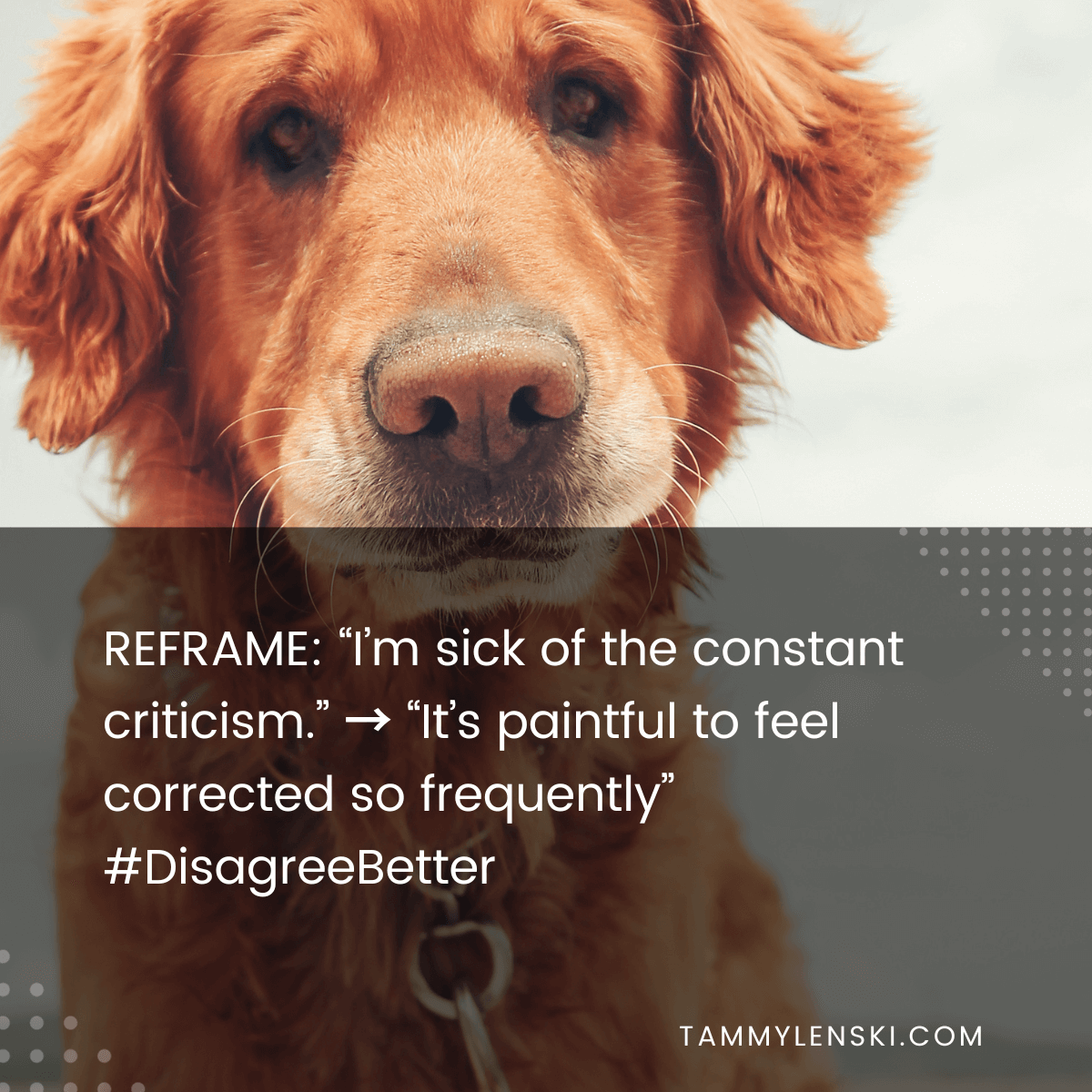 Reframe: "I'm sick of the constant criticism" --> "It's painful to feel corrected to frequently" #DisagreeBetter