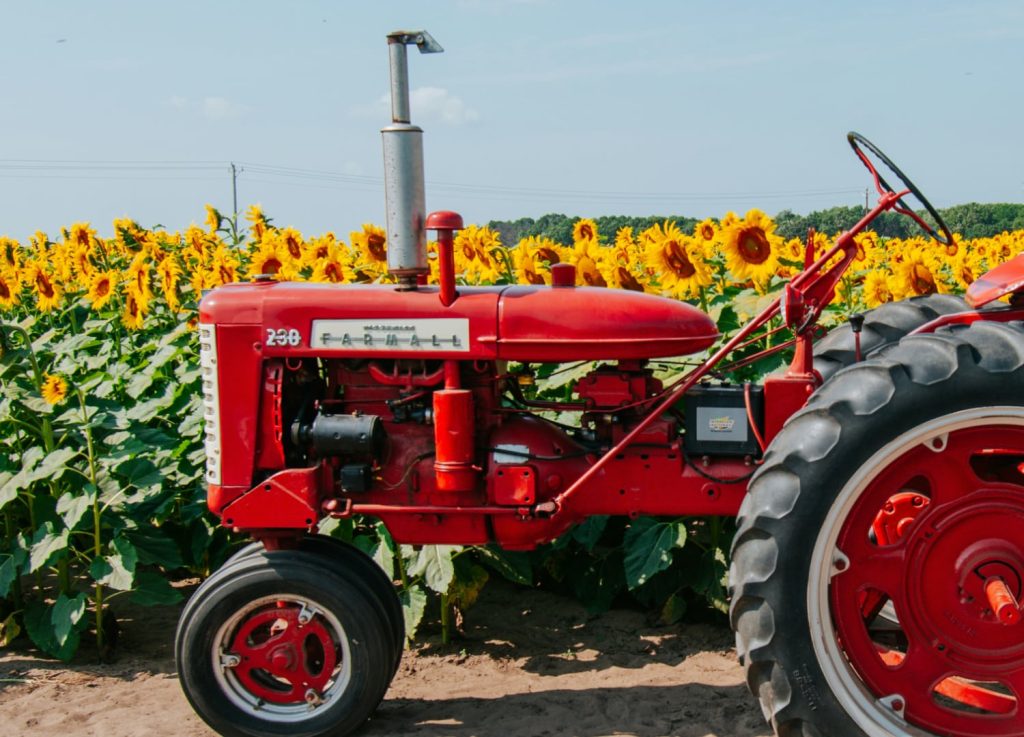 Tractor with field of sunflowers